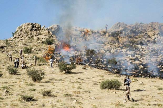 اعزام ۳۵ نیروی محیط زیست به کوه خامین گچساران/ آتش همچنان می تازد