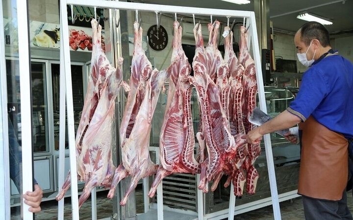 ۲۷۷ تن گوشت قرمز در مازندران توزیع شد