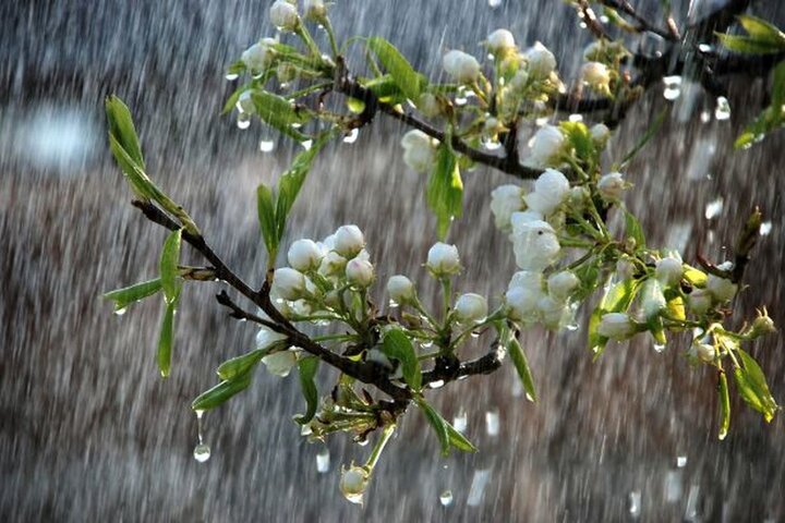 ثبت ۲۴ میلیمتر بارش در یاسوج/ بیشترین بارندگی متعلق به گنجگون است