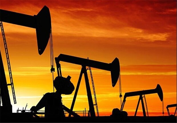 رئیس‌جمهور ترکیه از کشف ذخایر نفتی جدید خبر داد