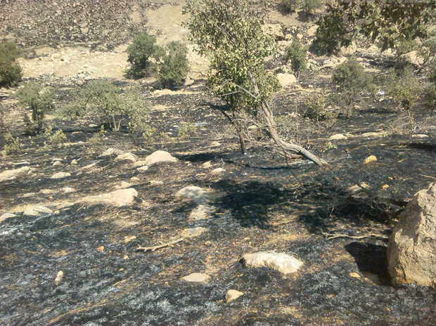 شناسایی ۱۵۰ نقطه مستعد آتش‌سوزی در سطح مراتع و جنگل‌های لرستان