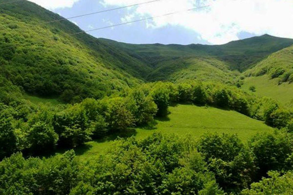 نگاه تعاملی بین مردم وحافظان منابع طبیعی منجر به حفظ انفال می شود