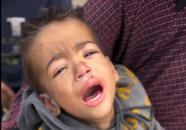 رییس سازمان نجات کودکان: فقط خواندن نام کودکان شهید غزه ۱۸ ساعت زمان می برد