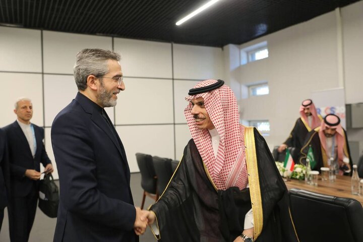 در حاشیه نشست وزرای امور خارجه بریکس؛ «باقری» با وزیر خارجه عربستان دیدار کرد
