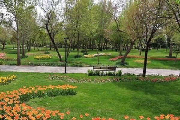 شهردار گرگان: بیش از ۶ هکتار به عرصه‌های فضای سبز گرگان اضافه شد