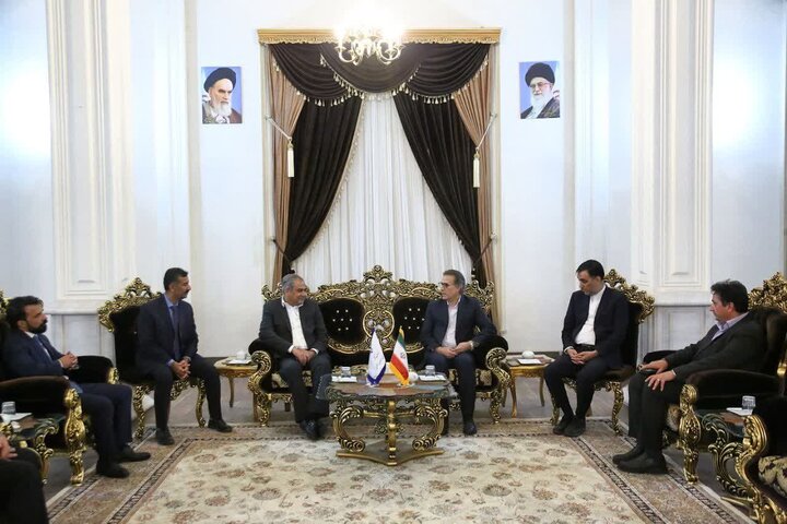 نبی پور:مشهد دارای ظرفیتهای منحصر به فردی در حوزه گردشگری سلامت است نبی پور:مشهد دارای ظرفیتهای منحصر به فردی در حوزه گردشگری سلامت است