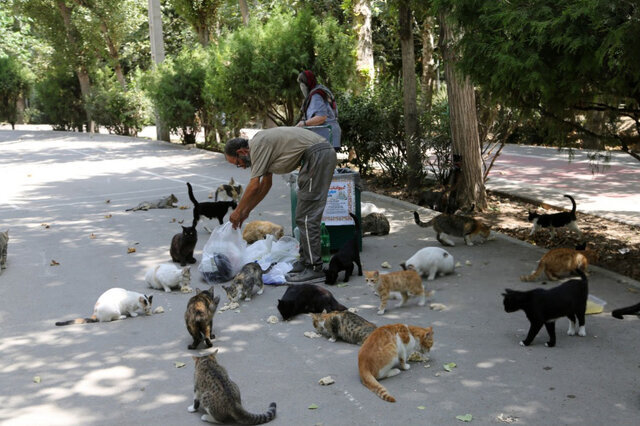 خیانت به محیط زیست با ژست حمایت از حیوانات