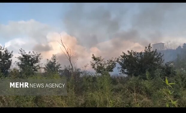 آتش‌سوزی گسترده در جنگل‌های کومله؛ ۱۵ هکتار طعمه حریق شد