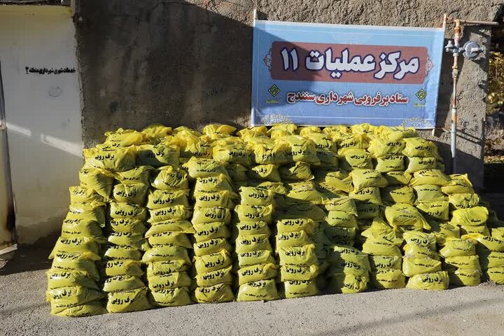 اصغری: ۲۳ ایستگاه برف‌روبی برای عبور ایمن از زمستان در سنندج فعال شد