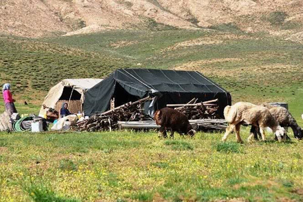 کمک ۴۰۱ میلیون تومانی عشایر زیرکوه به ستاد پشتیبانی از دفاع مقدس